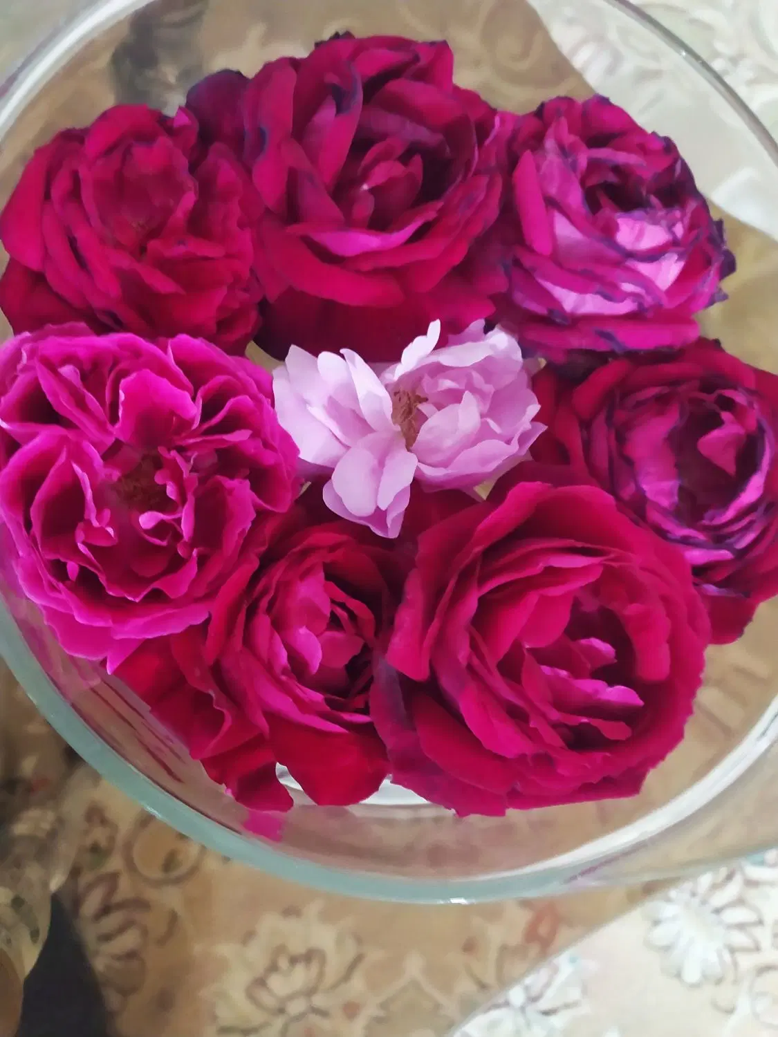 باغ میوه ۱۵ساله