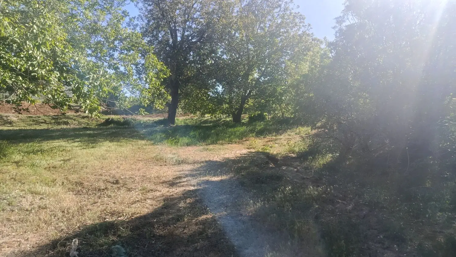 زمین کشاورزی