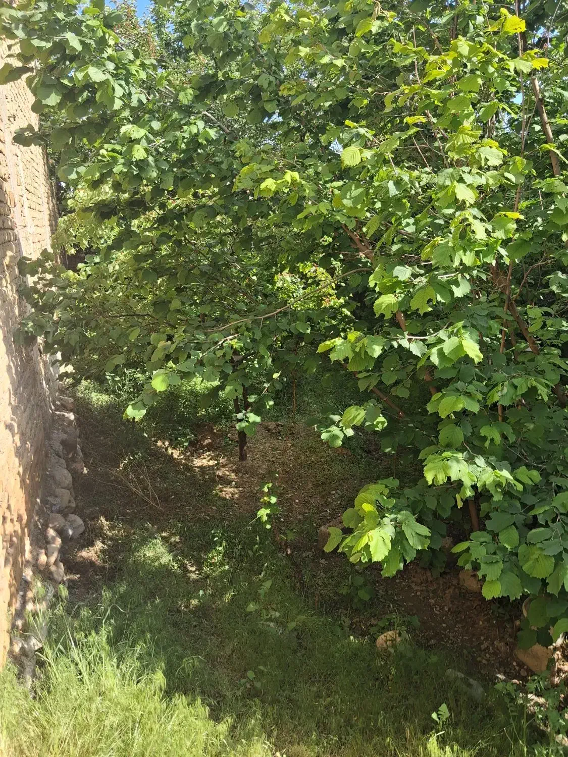 فروش زمین مسکونی