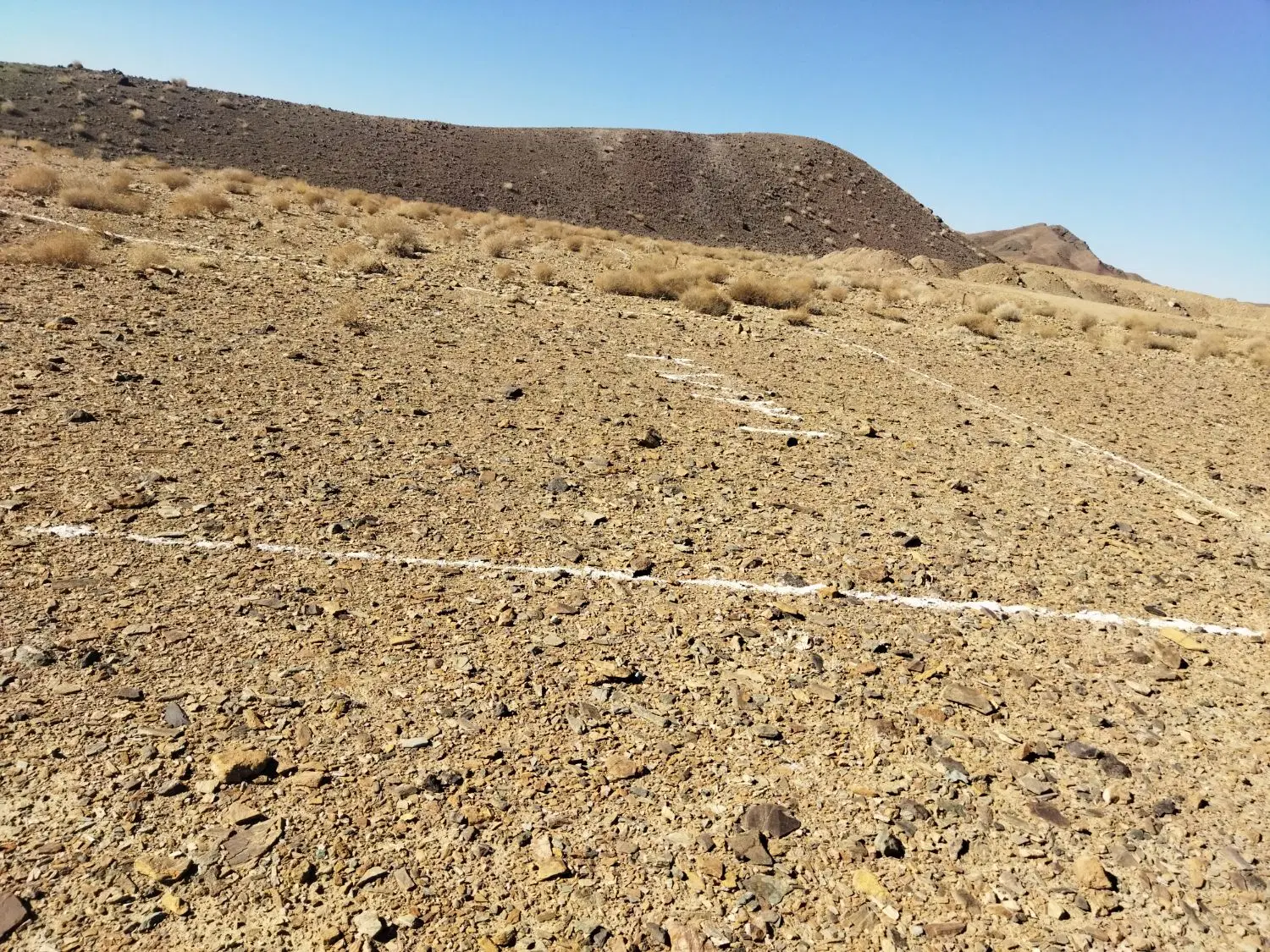 زمین شکراب