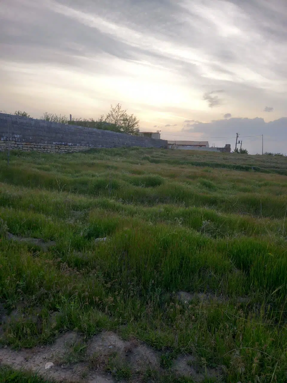 زمین باغی
