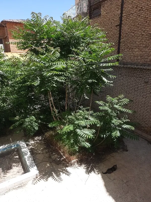 شهرک زمین پردیس