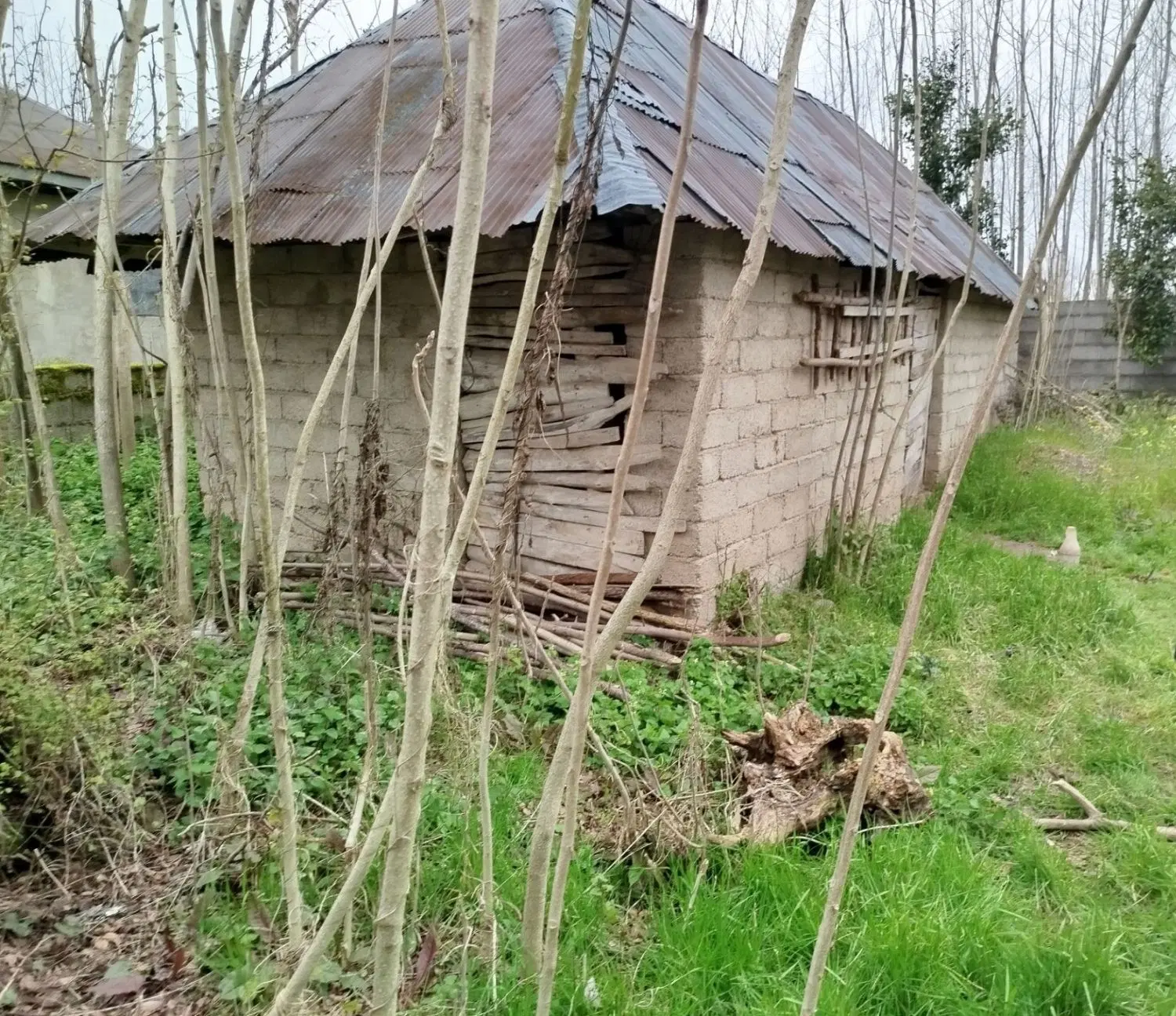 زمین مسکونی روستایی