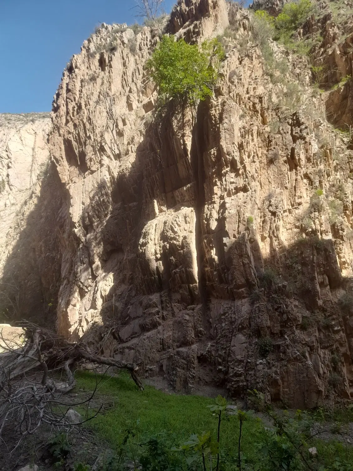 باغ روستای همایون ازمنطقه سارمساخلو