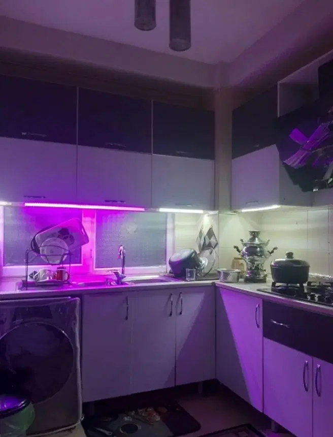 همخونه. خانم