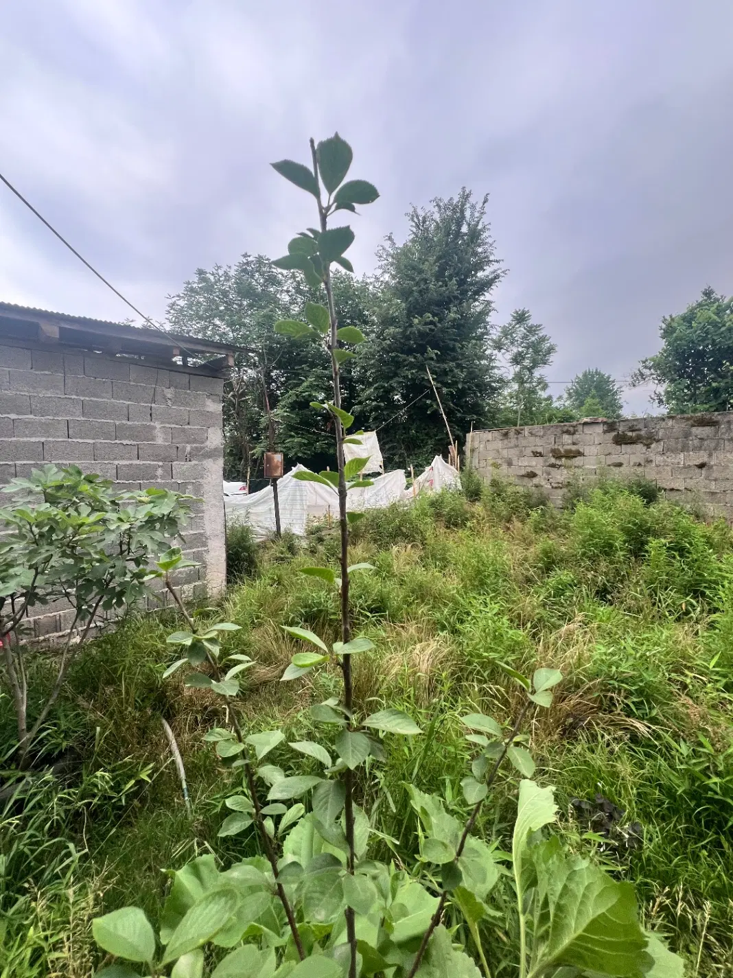 ۲۰۰متر مسکونی