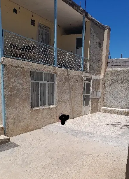 سوئیت