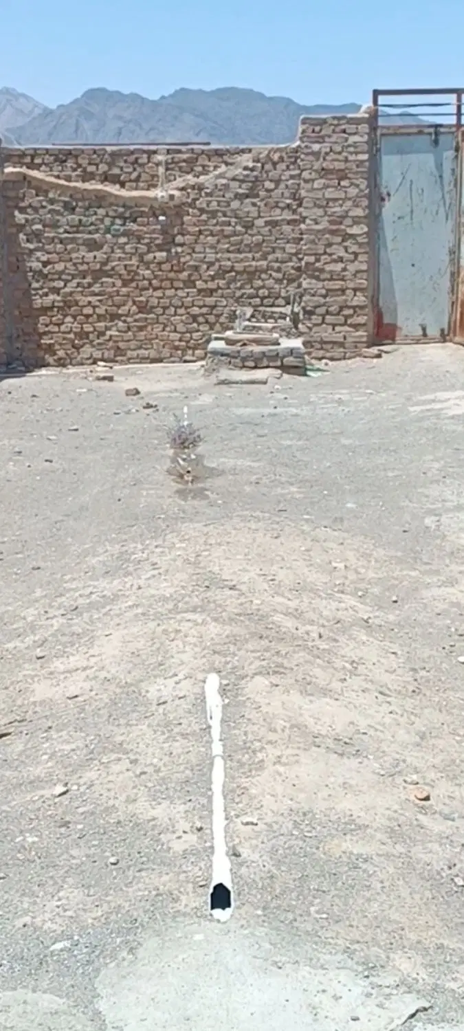 اجاره روزانه