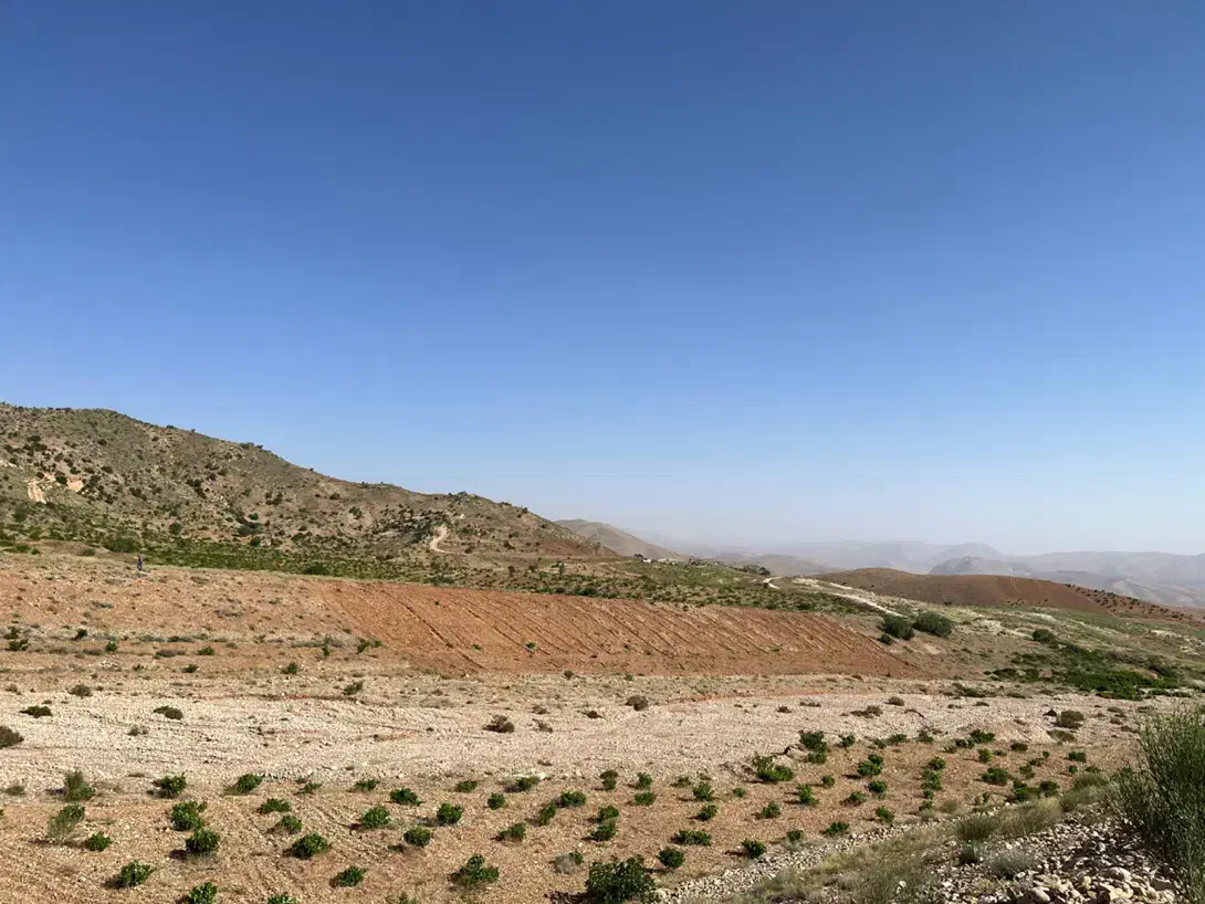 فروش۱۰۰۰متر باغشهری تپه سبز دوکوهک(پای کوه قلات)