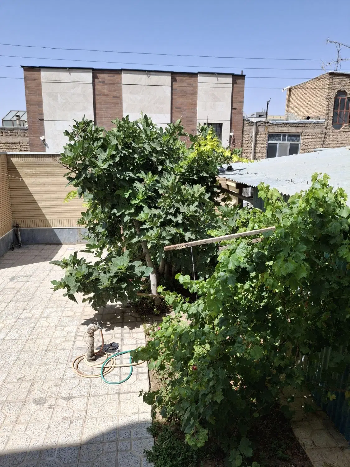 رهن و اجاره ویلایی