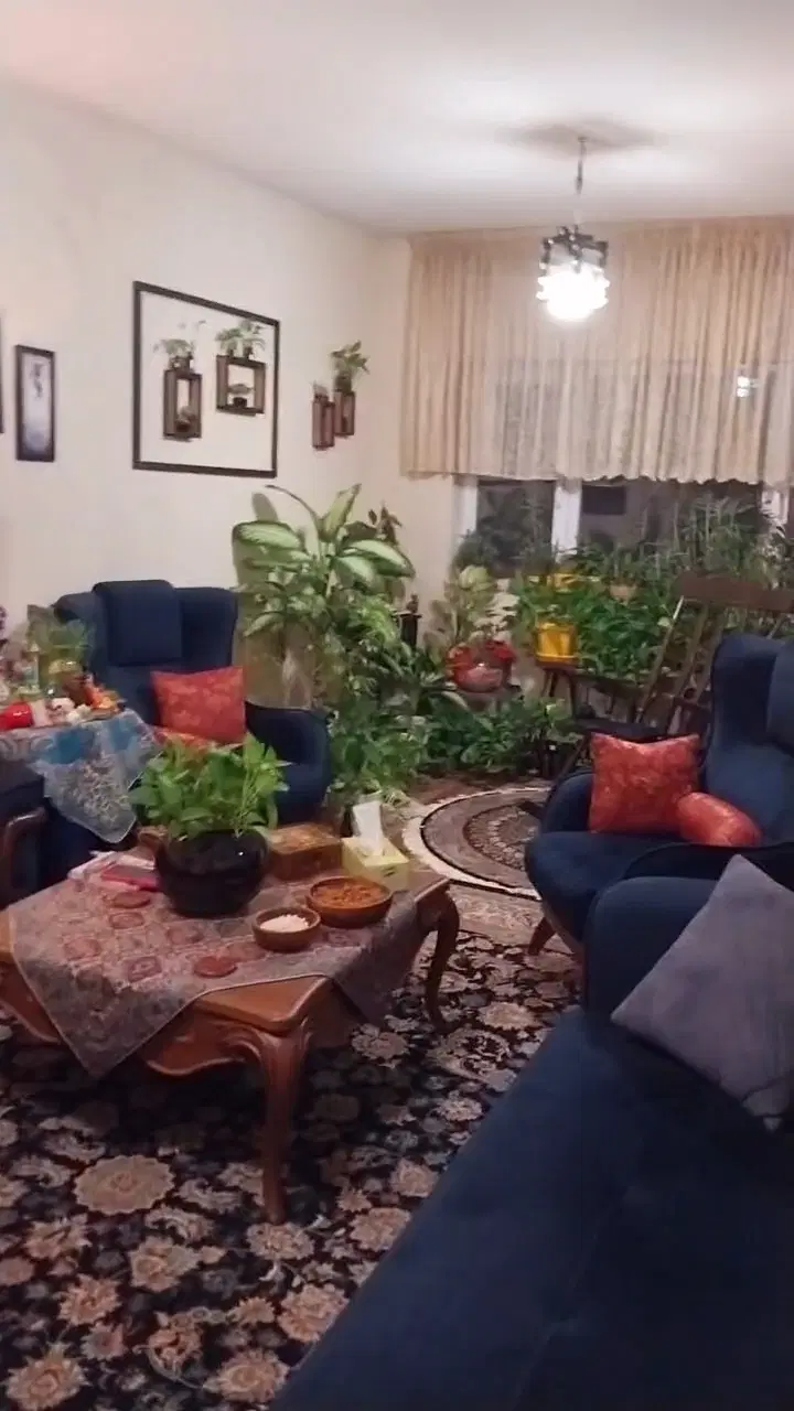 فروش کوزو5 پرند
