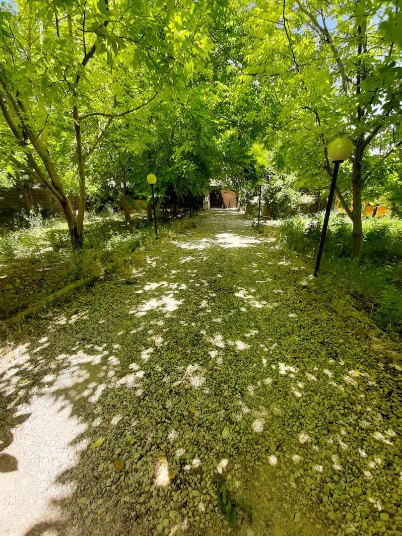 رهن و اجاره آپارتمان بهمنی