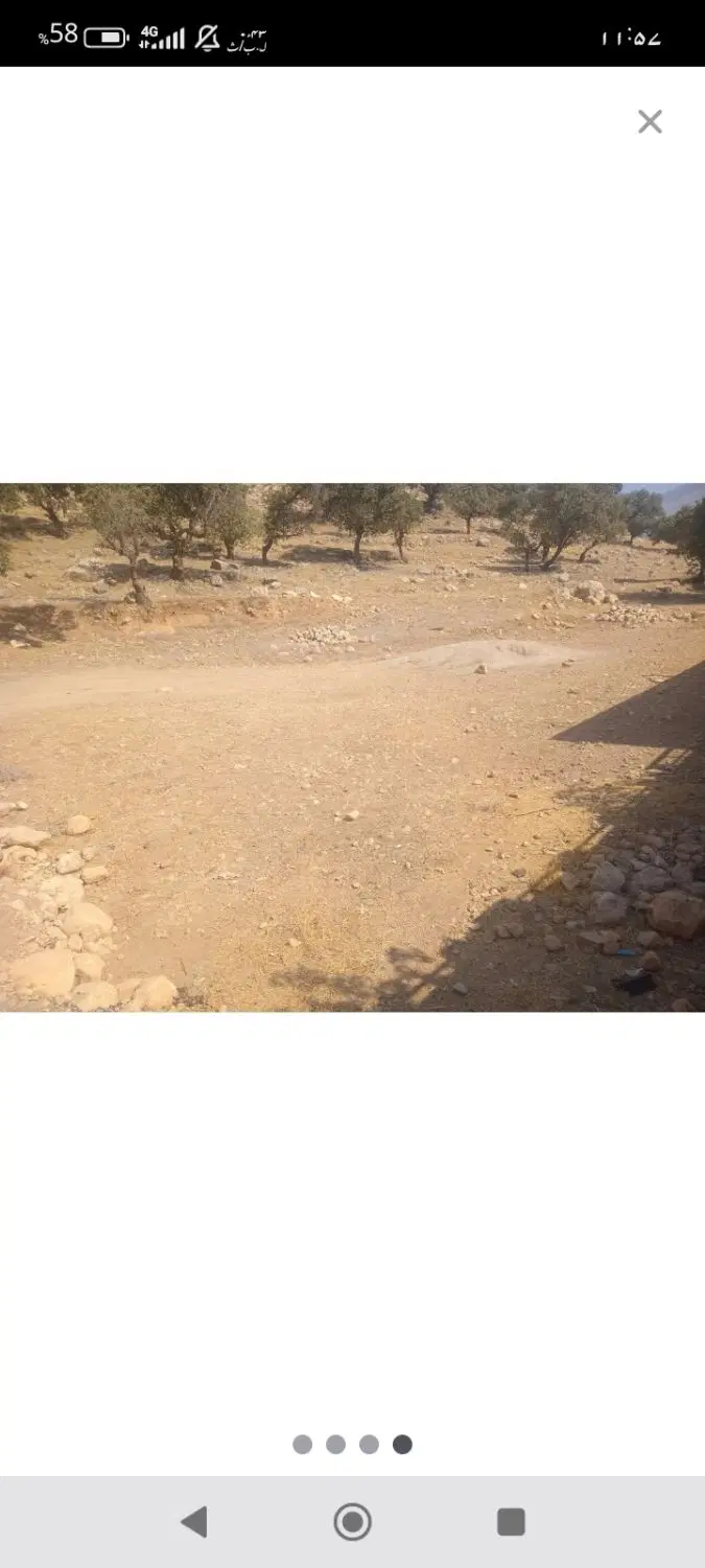زمین