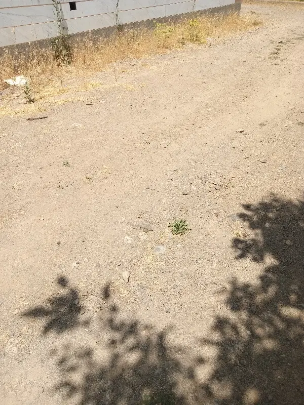 فروش زمین مسکونی