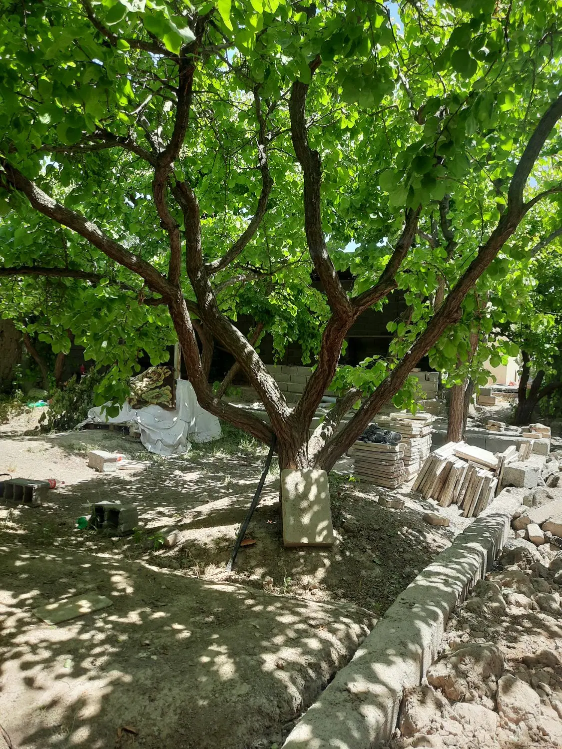 باغ فروشی ۳۰۰ متر شهریار اسدآباد