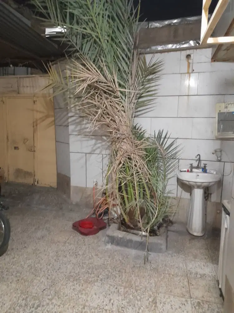 اجاره و رهن خانه ویلایی