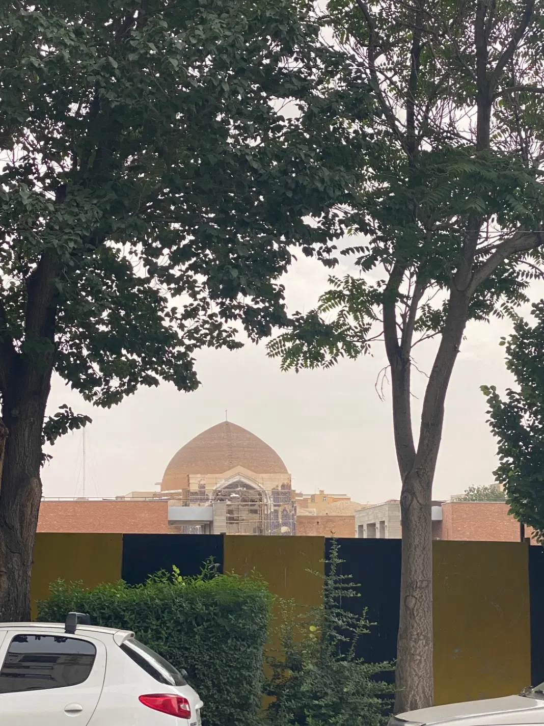 فروش زمین زراعی سند سبز
