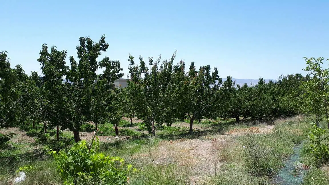 باغ در روستای نگین سبز دماوند