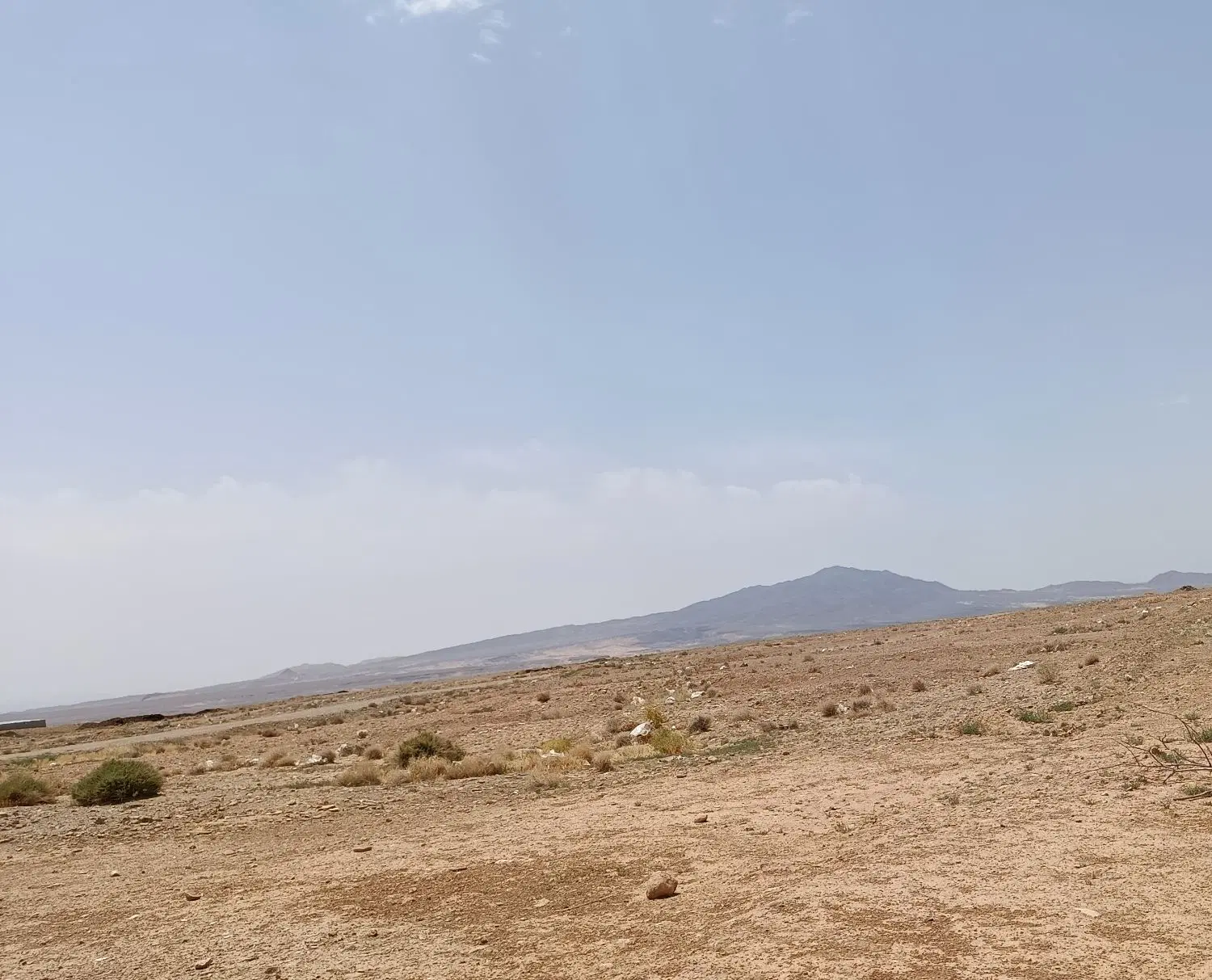 زمین کشاورزی