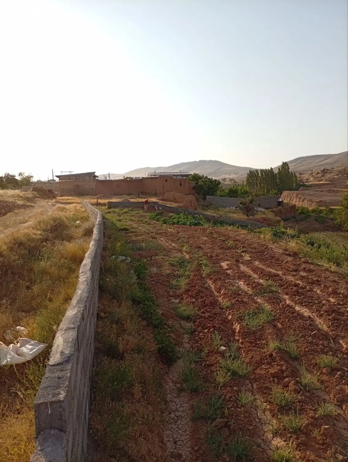 زمین برای ساخت خانه  وباغ