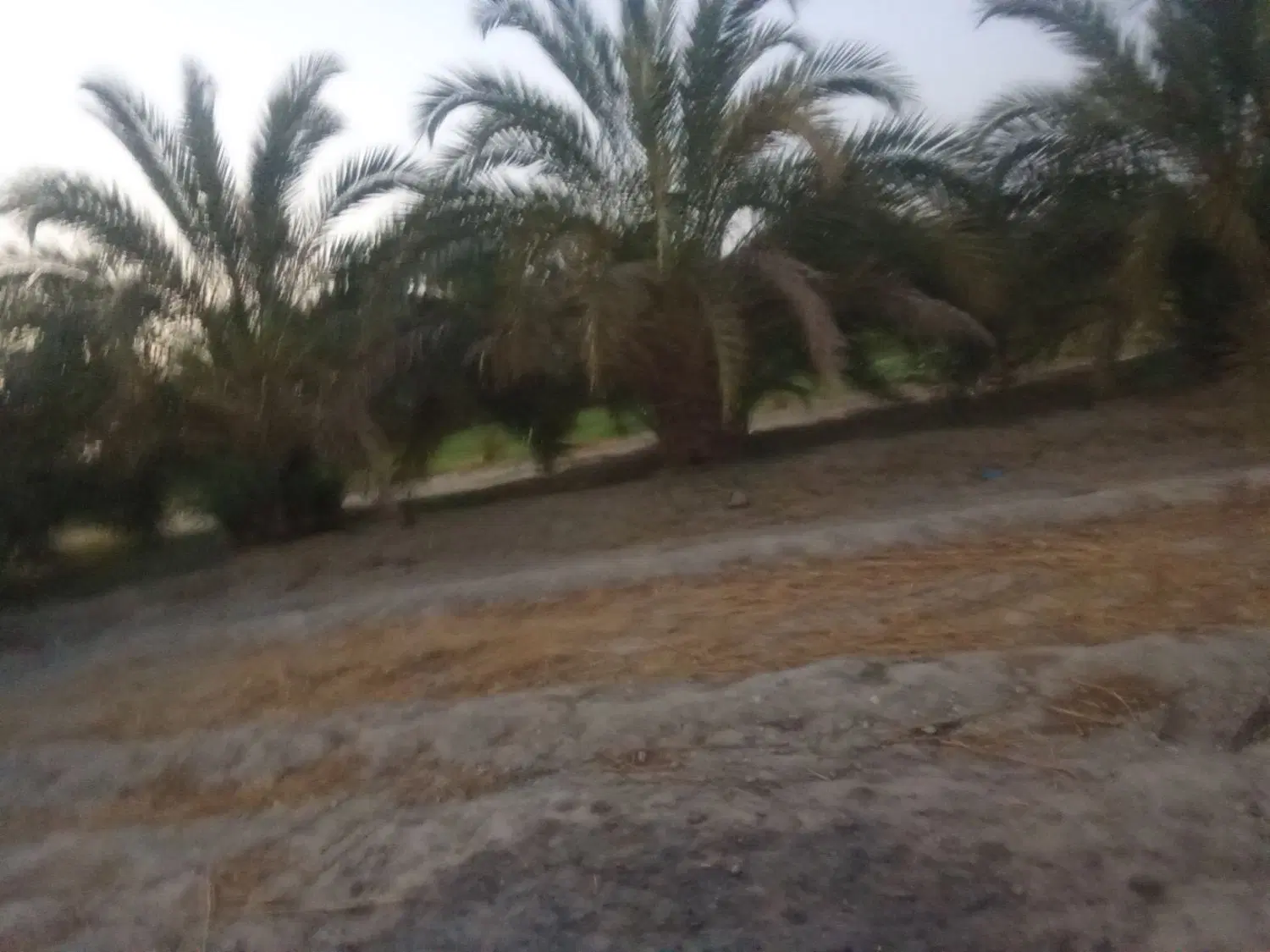 زمین کشاورزی ومسکونی