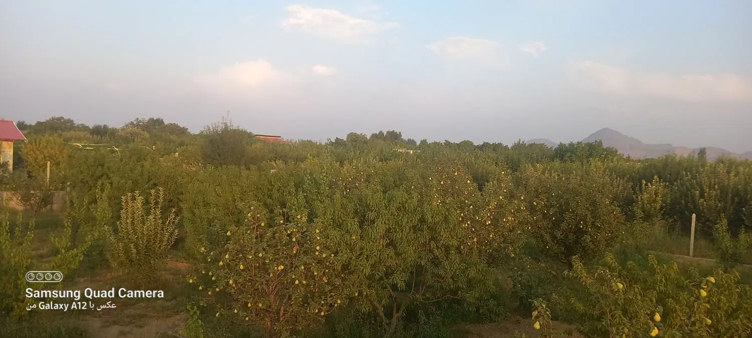 باغ الوان