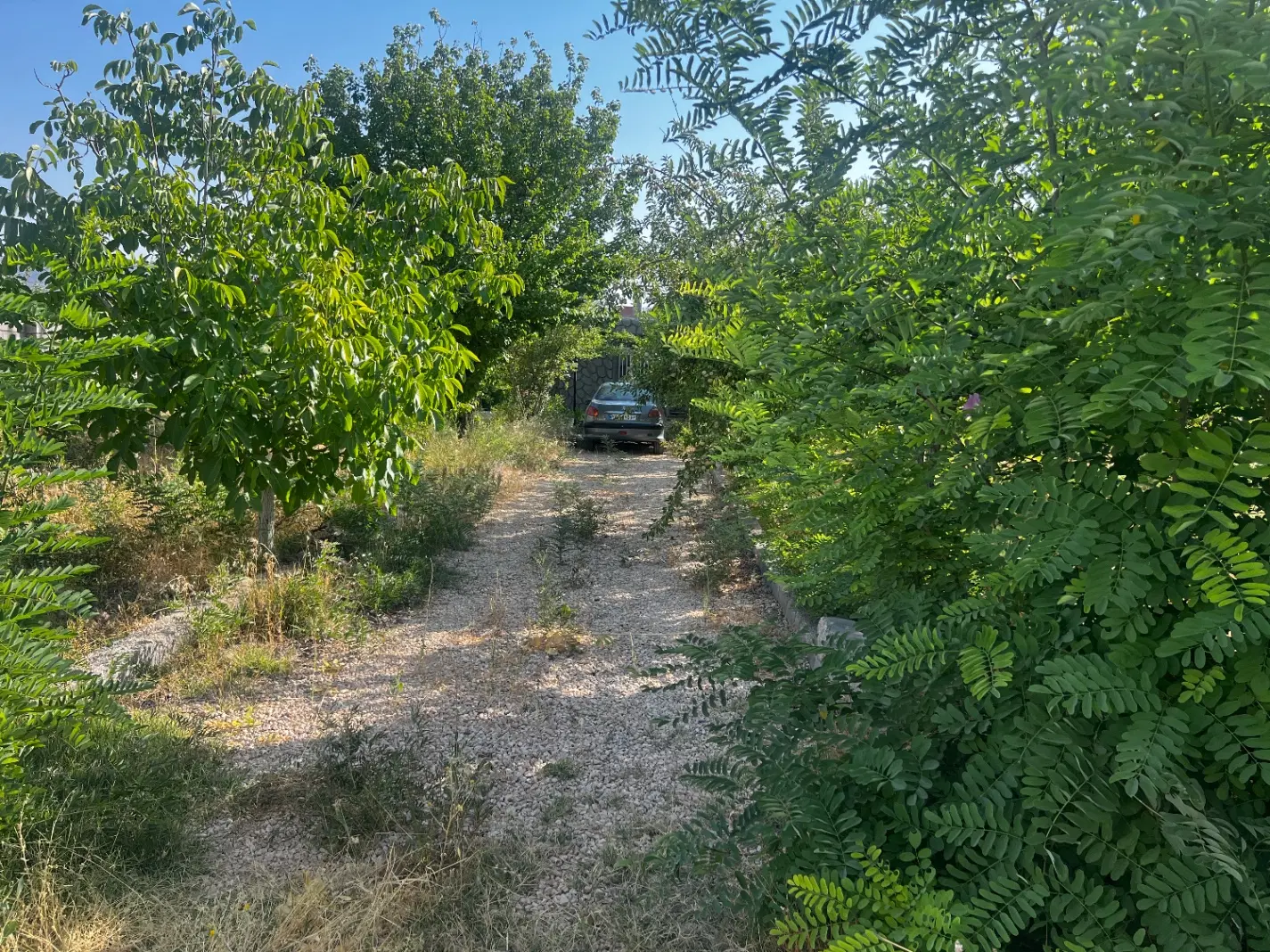 باغ شهری ۱۰۰۰ متری