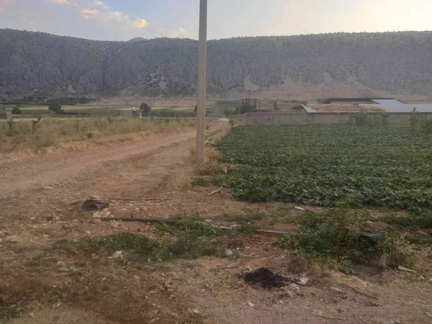 اجاره دامداری دمکره دشتروم