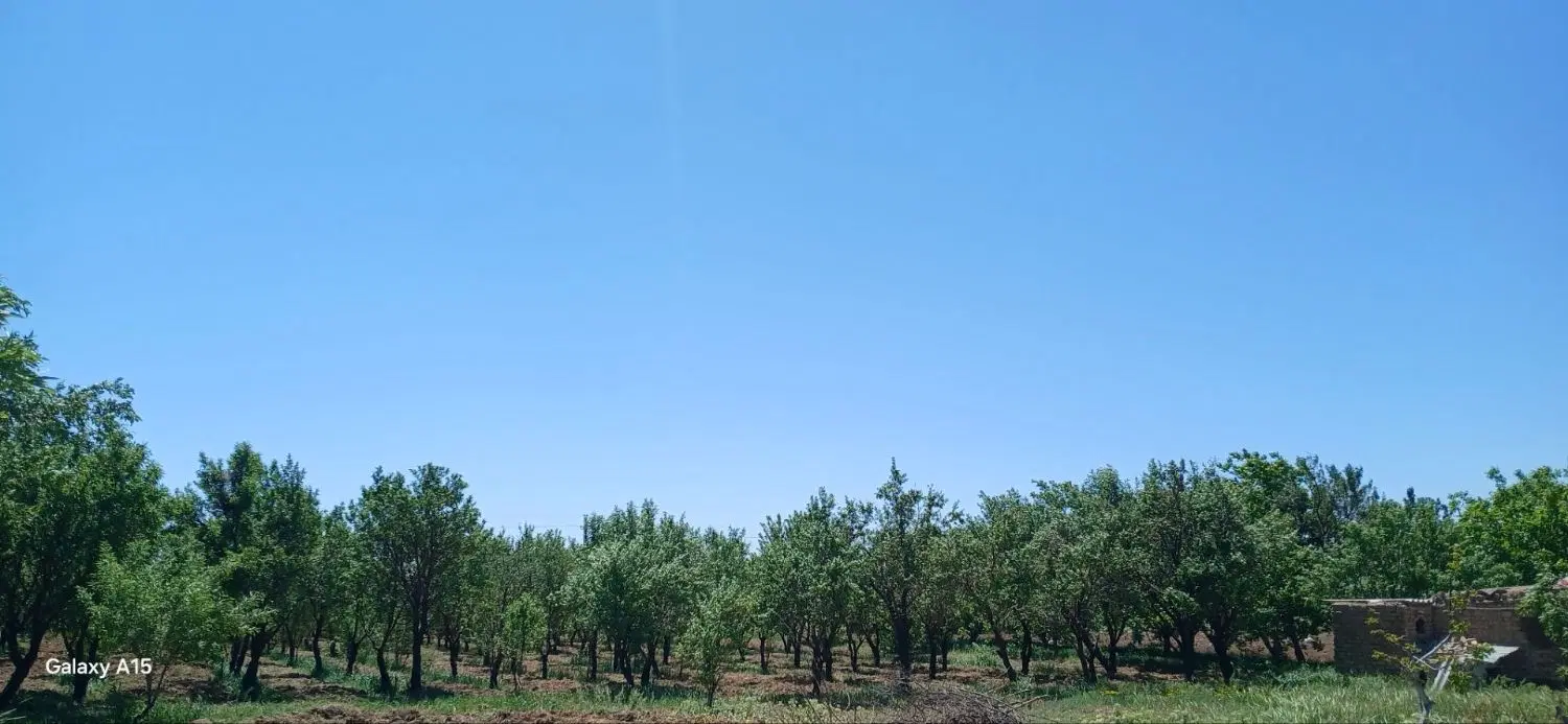 باغ و سوله مرغداری سند بنام