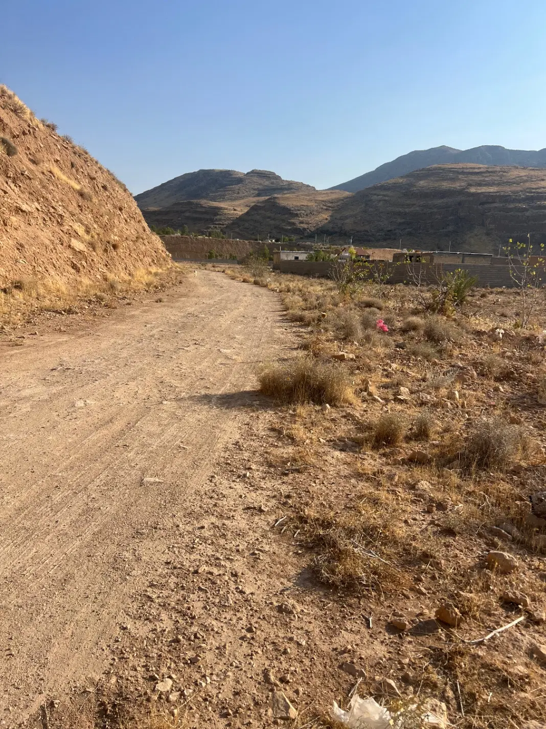 فروش زمین باغی یا معاوضه