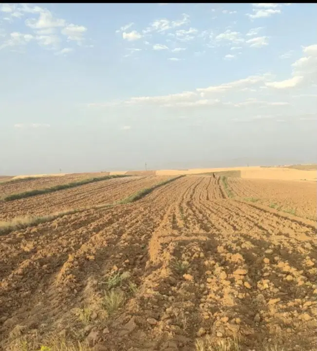 ۱۰۵۰ هکتار زمین بهر اتوبان فروشی