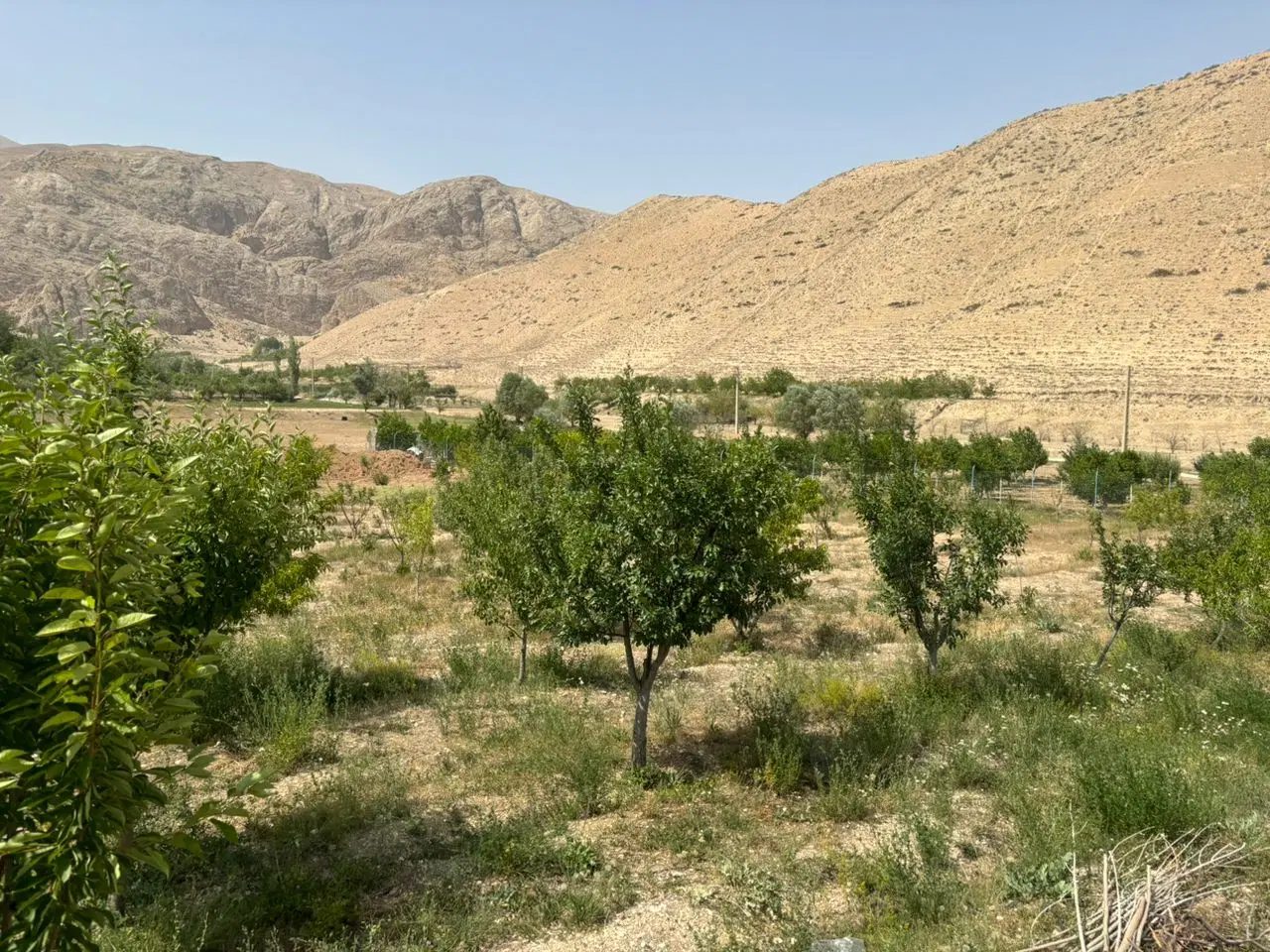 فروش باغ ویلا