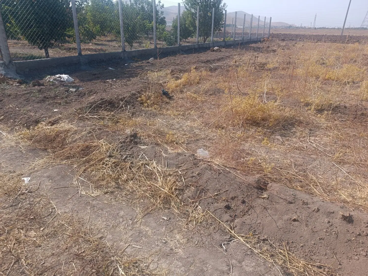 زمین باغ کهریز الهیه ۱۰۰۰ و ۵۰۰ متری