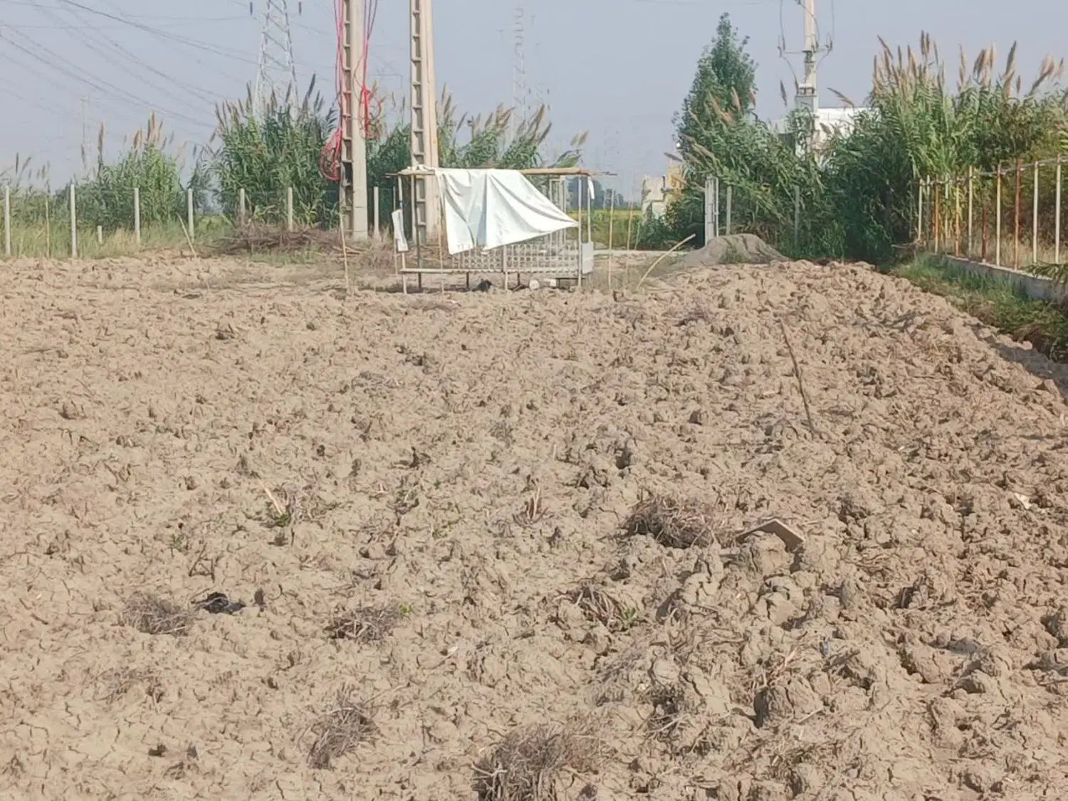 زمین کشاورزی لب جاده آسفالت