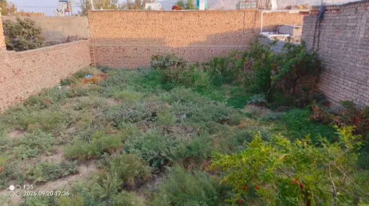 ۲ عدد زمین مسکونی ۲۴۰ متری بفروش میرسد