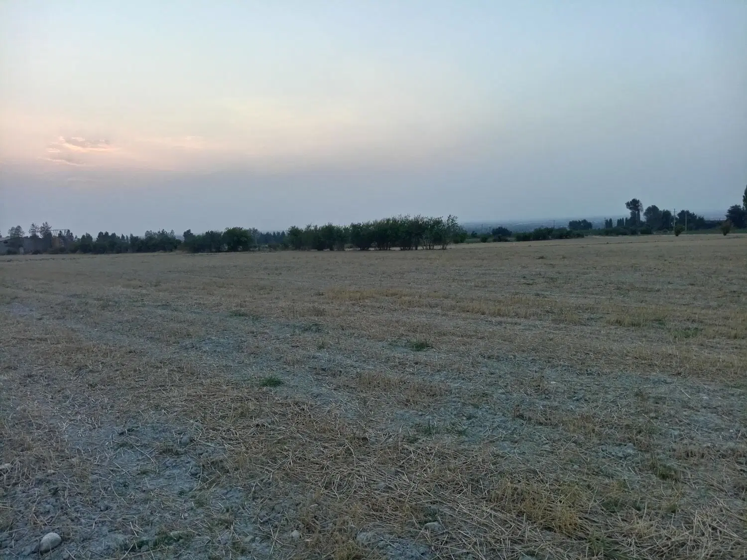 زمین کشاورزی