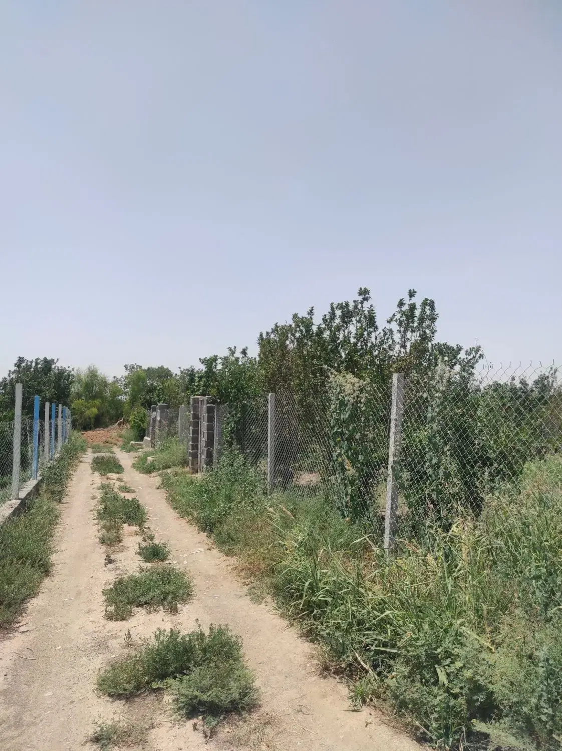 باغچه 500 متری الوسجرد