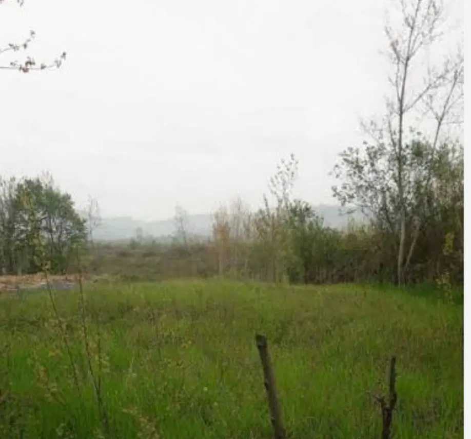 فروش زمین باغی