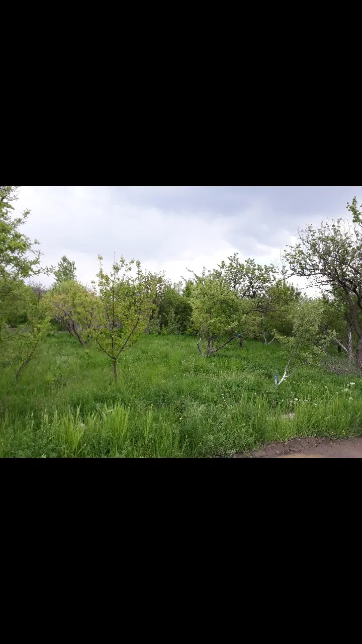 باغ درروستای ایوند