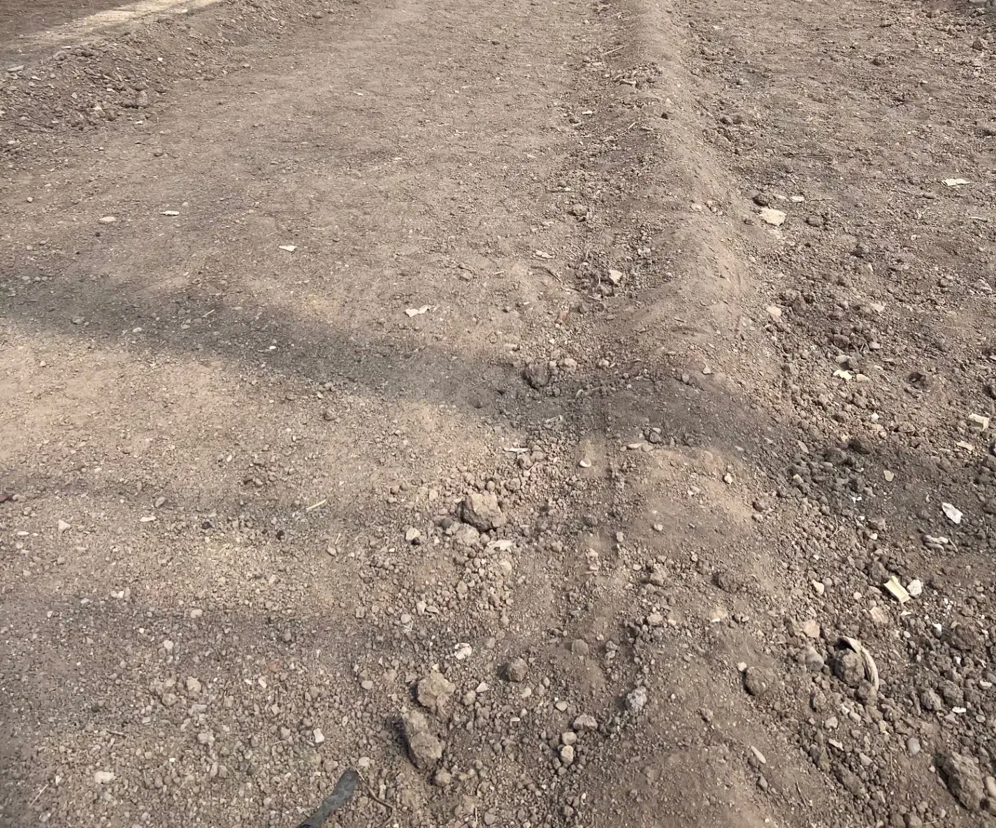 زمین بر خیابان شاکری