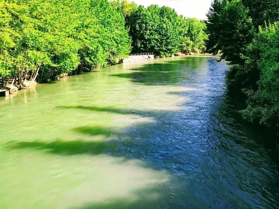 اجاره روزانه ویلا،باغ ،سوئیت، در باغبهادران