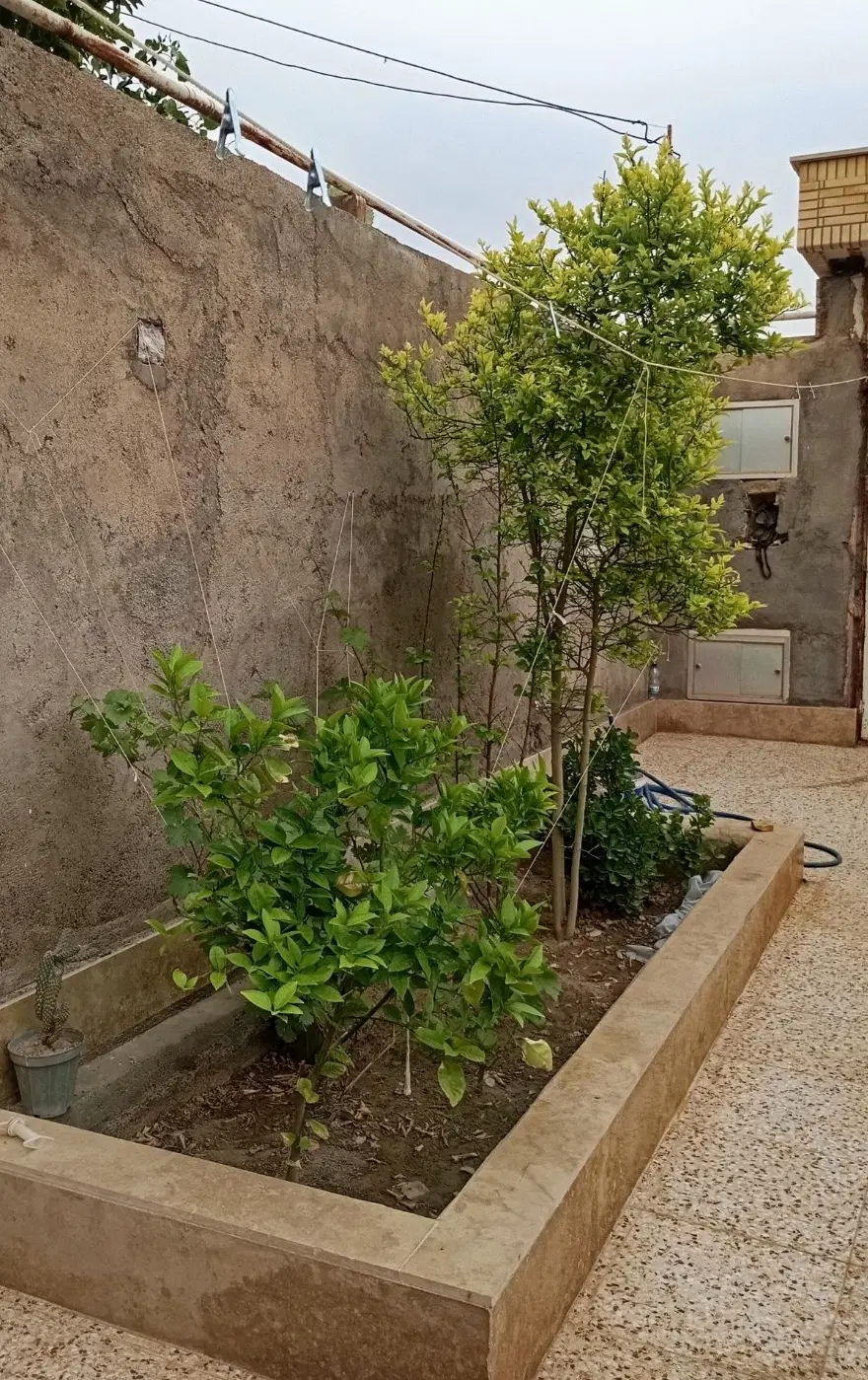 به دنبال خانوم برای گرفتن خونه
