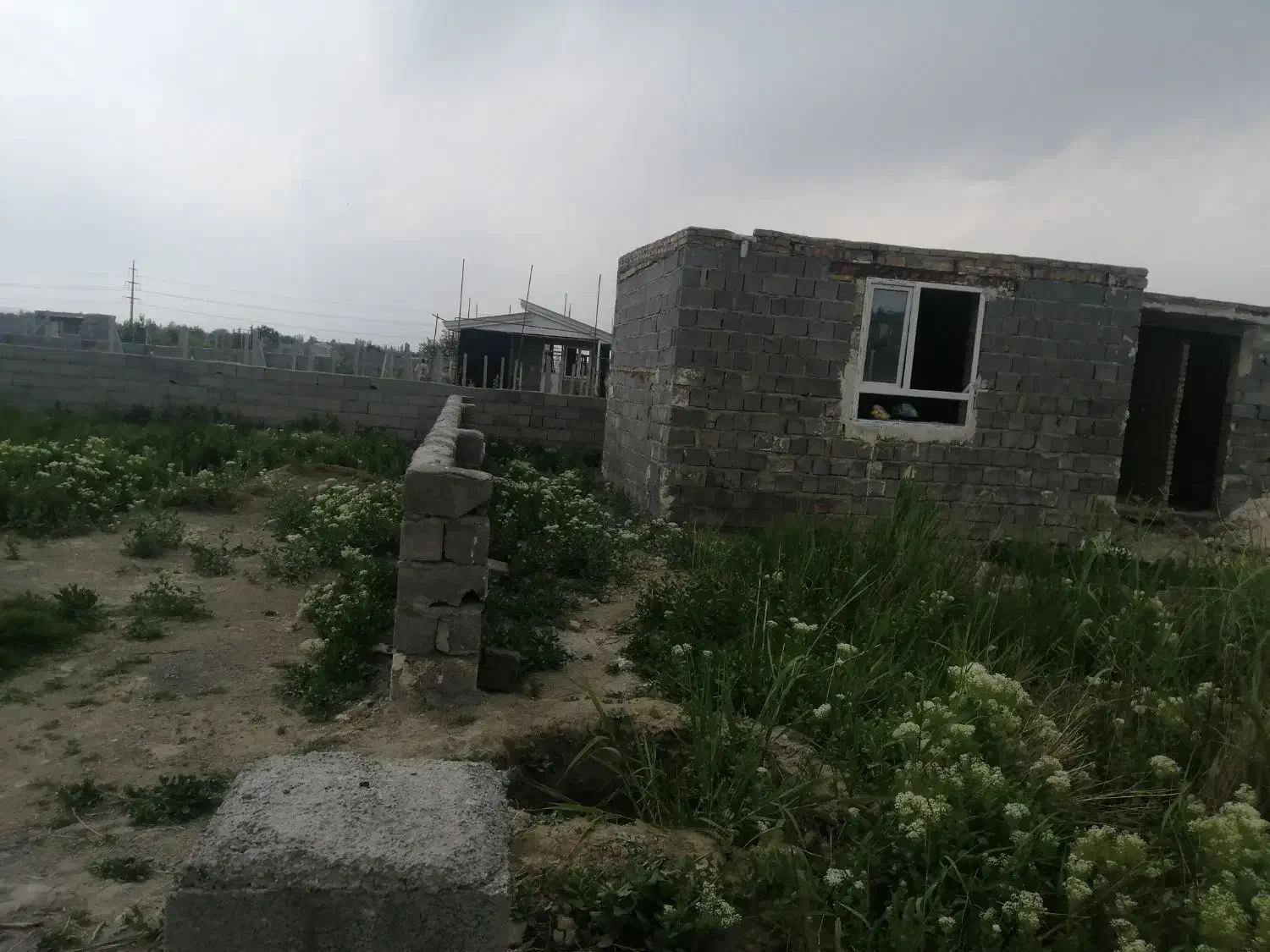 زمین زراعی در سعید لو