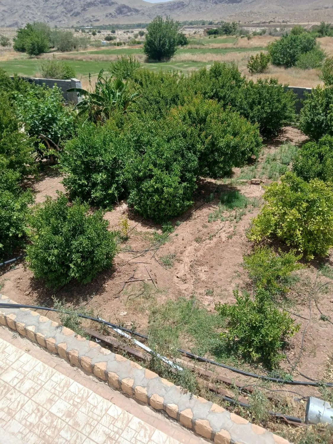 فروش زمین مسکونی مشاع صدرا