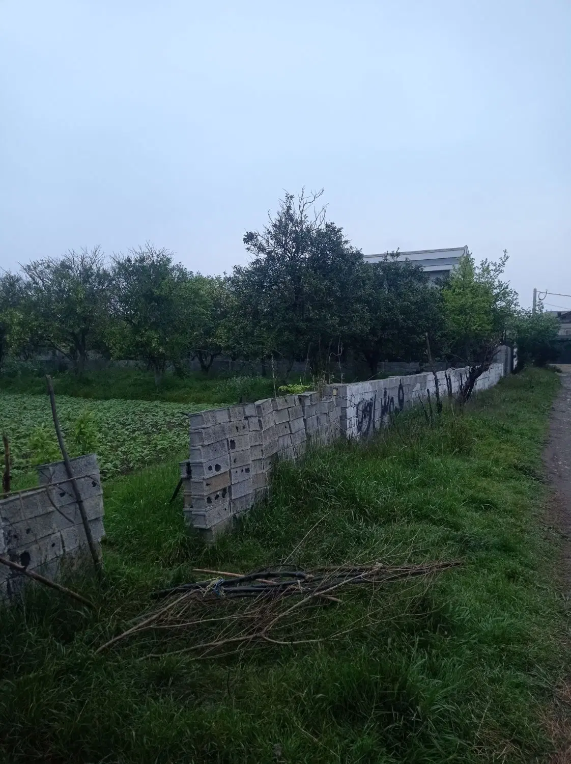 زمین مسکونی در رامسر چالکرود