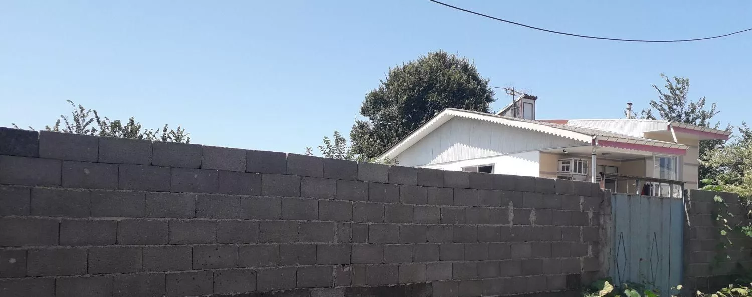 زمین تک برگ سندباپروانه ساخت