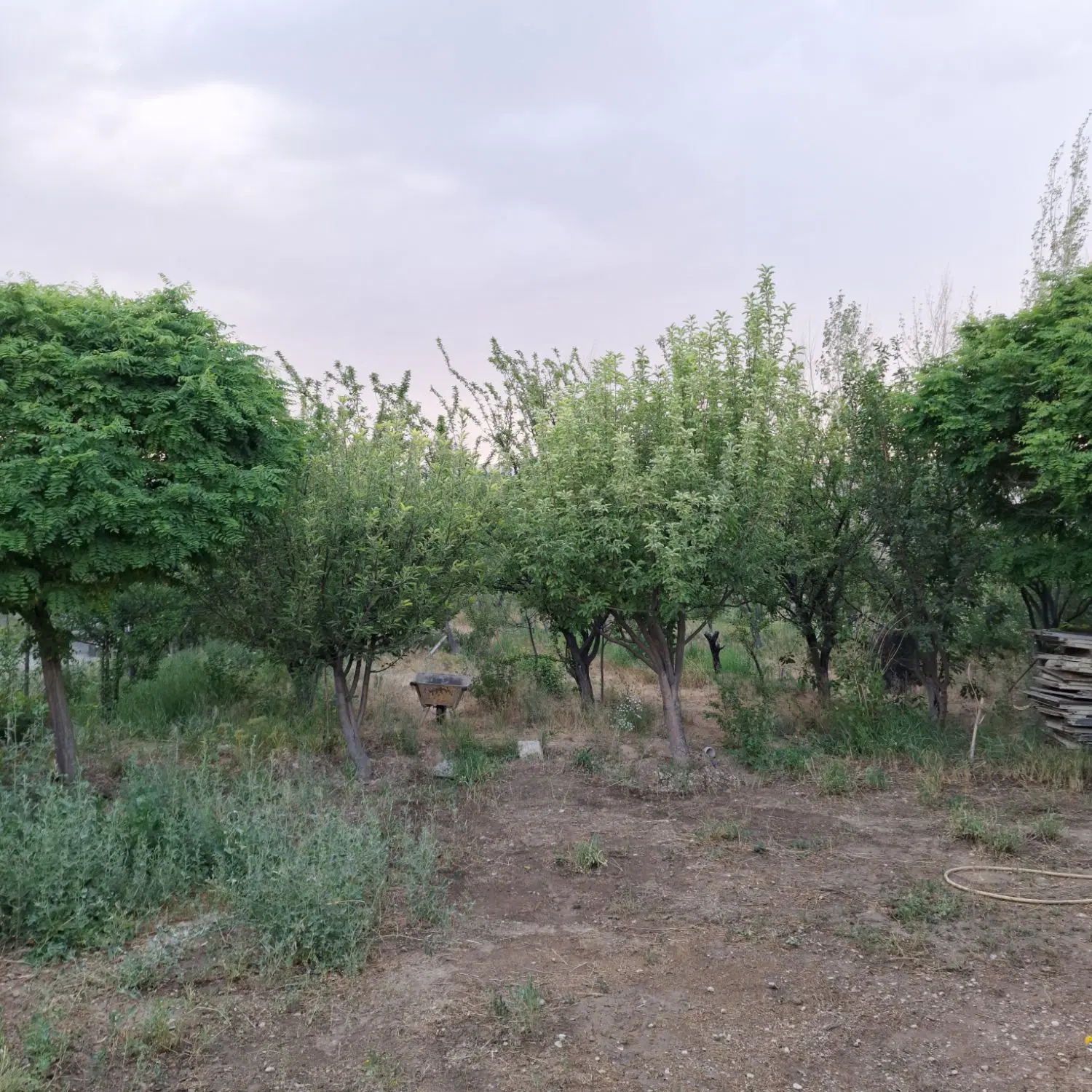 ۸۰۰متر خانه ویلا