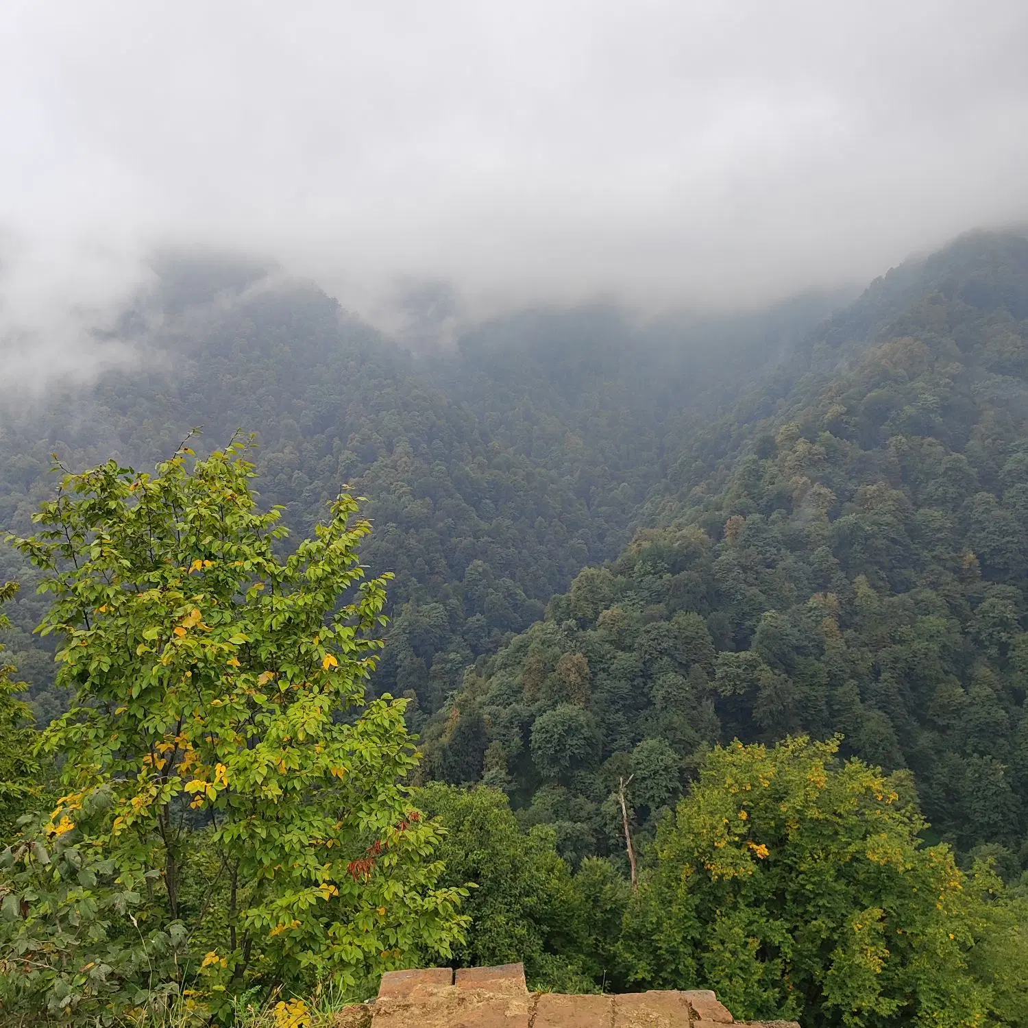 اجاره ویلایی طالقانی