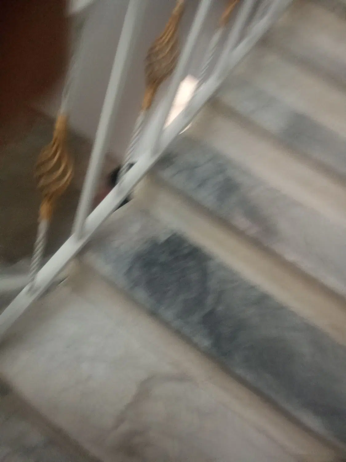 سه واحد به تجاری اجاره داده میشود