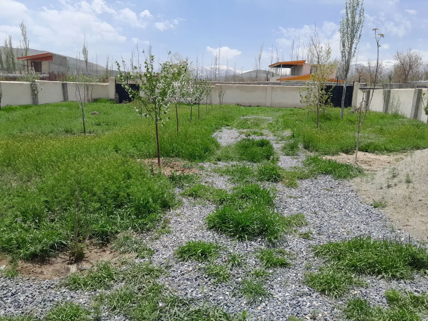 زمین باغی ۴ دیواری_سنگستان
